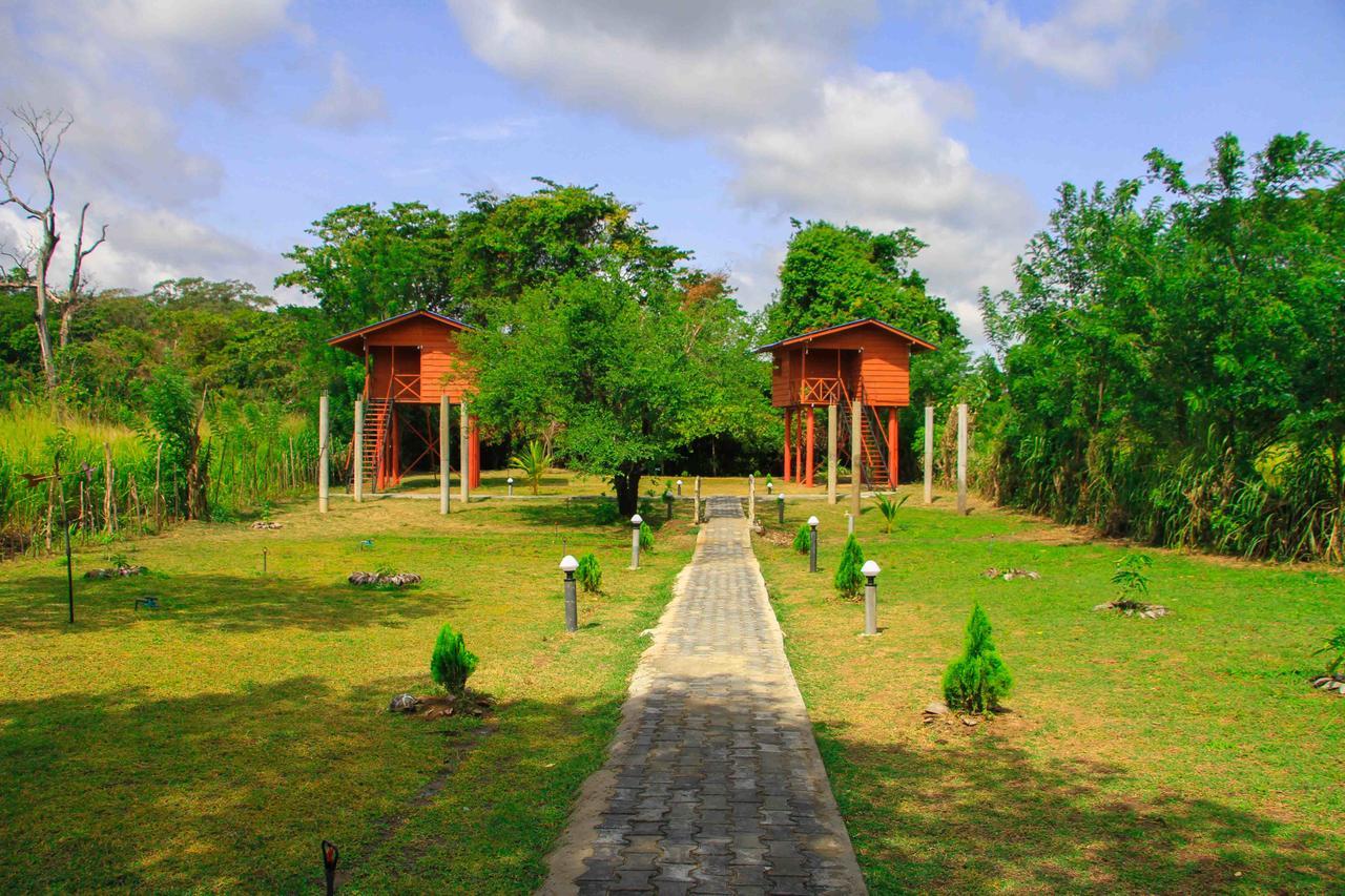 Sigiri Royal Point Tree House Otel Sigiriya Dış mekan fotoğraf