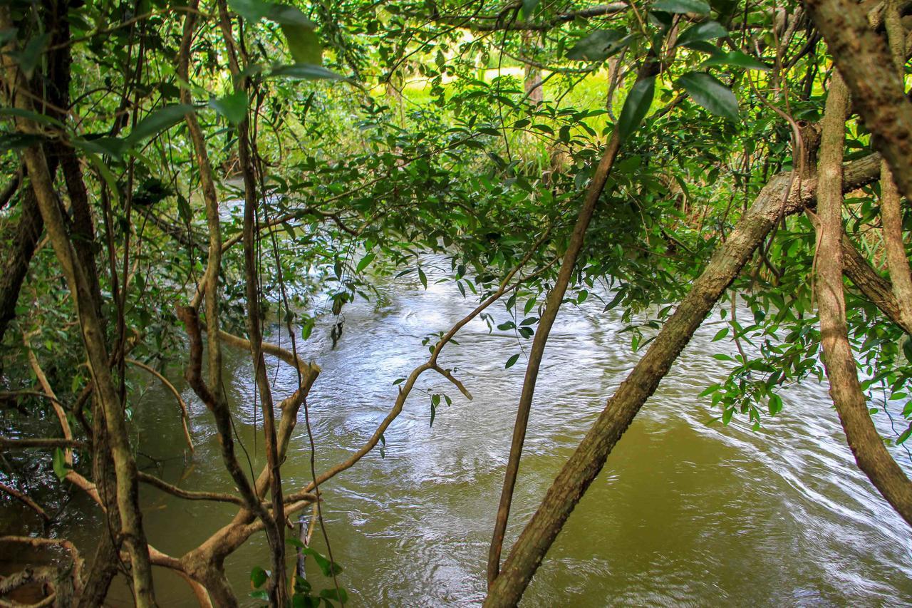 Sigiri Royal Point Tree House Otel Sigiriya Dış mekan fotoğraf