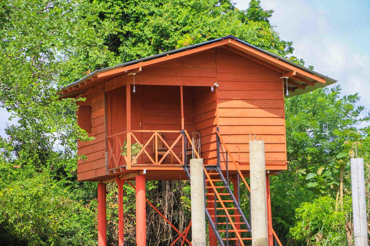 Sigiri Royal Point Tree House Otel Sigiriya Dış mekan fotoğraf