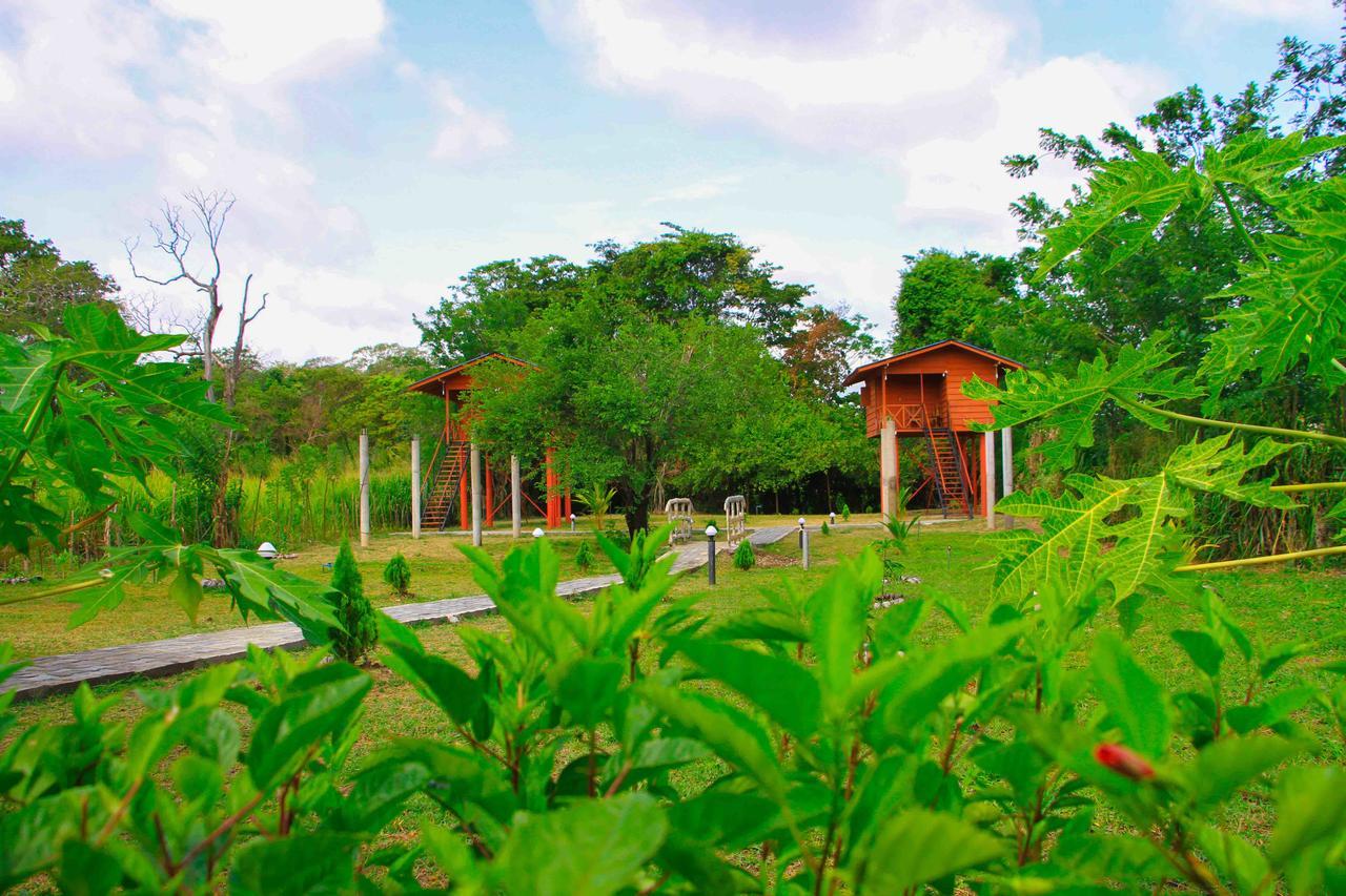 Sigiri Royal Point Tree House Otel Sigiriya Dış mekan fotoğraf