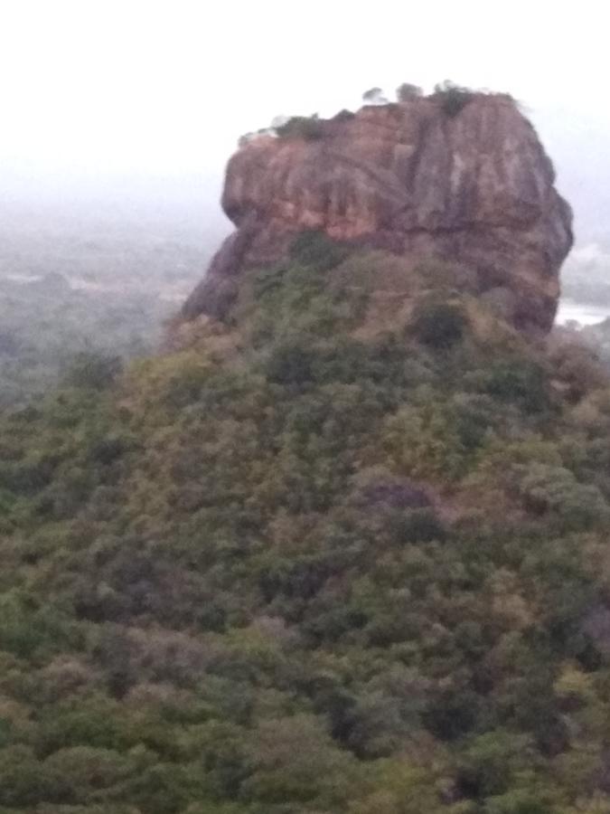 Sigiri Royal Point Tree House Otel Sigiriya Dış mekan fotoğraf