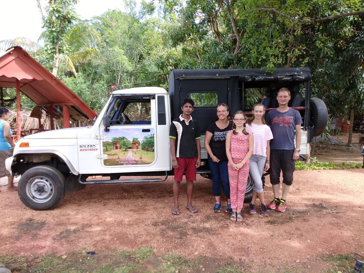 Sigiri Royal Point Tree House Otel Sigiriya Dış mekan fotoğraf