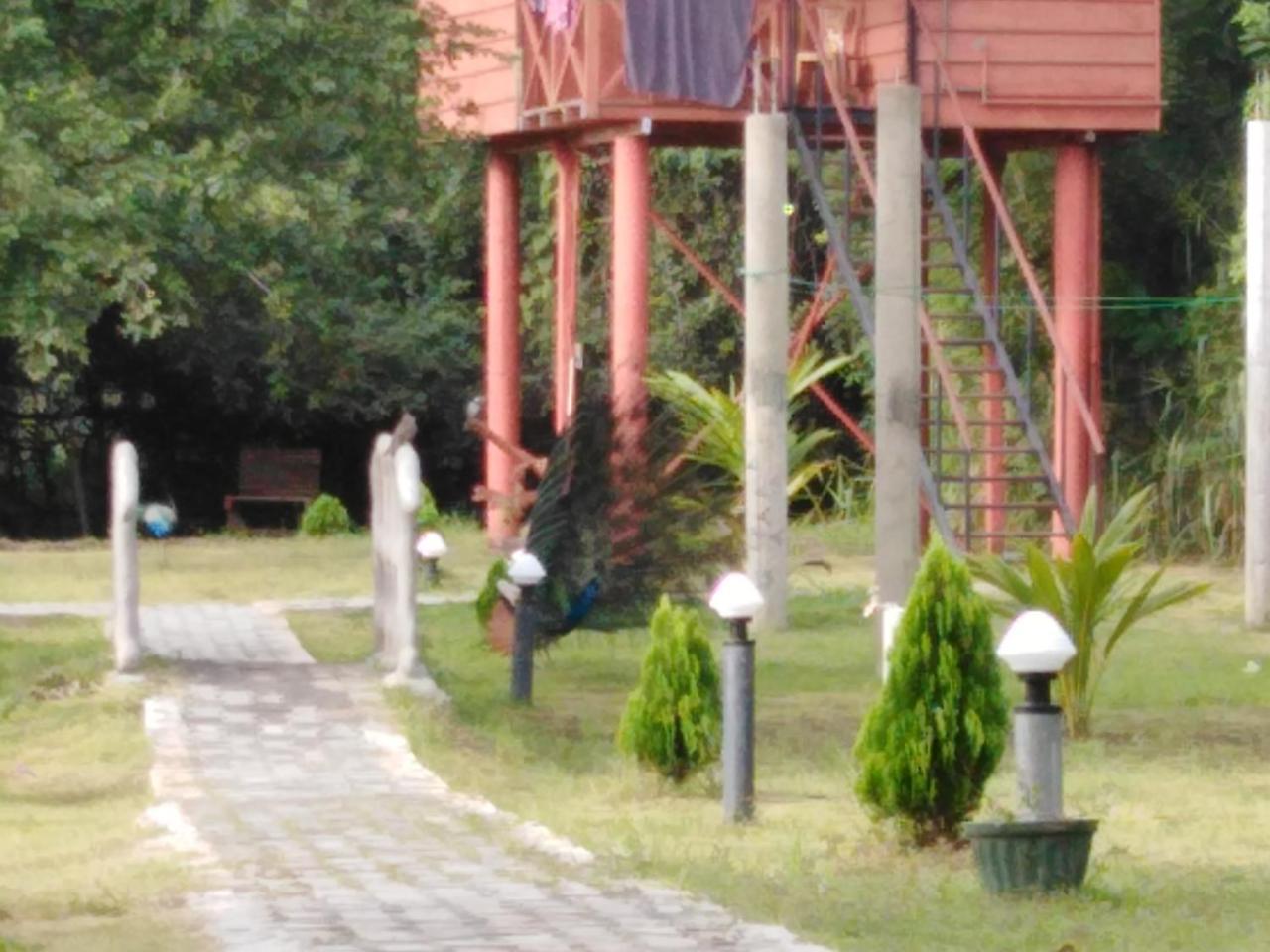 Sigiri Royal Point Tree House Otel Sigiriya Dış mekan fotoğraf